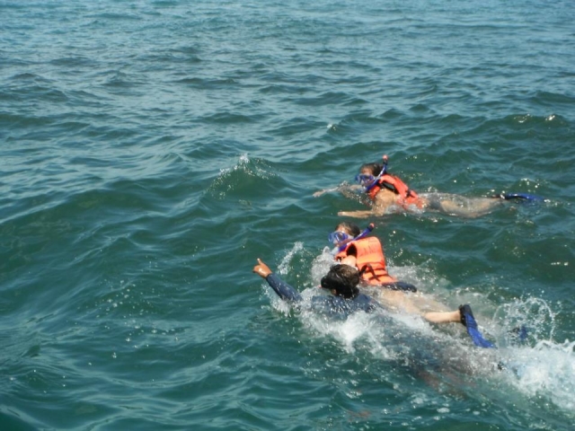  Snorkeling con lo squalo balena 